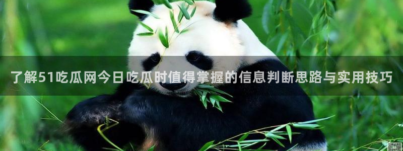 网络事件爆料网