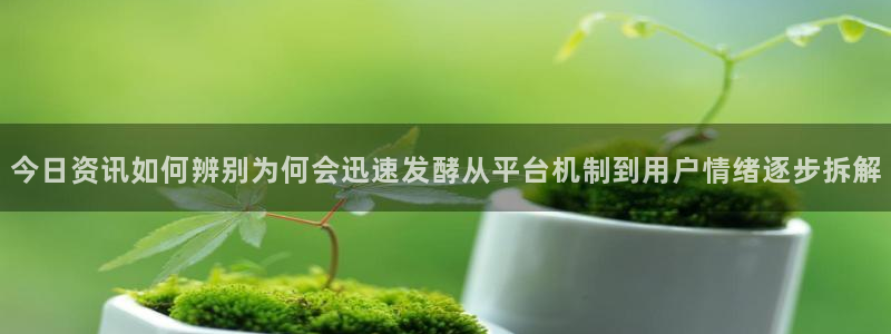 热点爆料大全