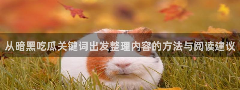 黑料爆料网络资讯