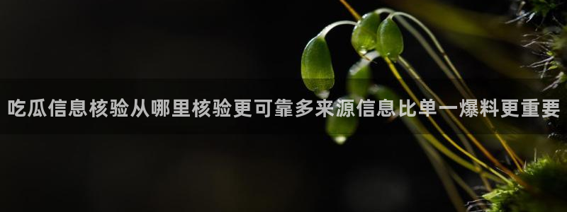 网络资讯动态