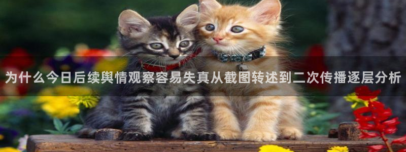资讯爆料网