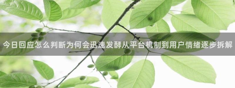 热点爆料事件