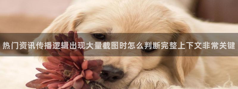 热门话题大全
